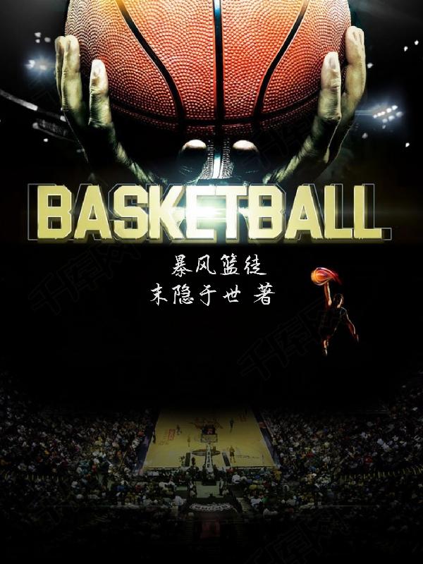 暴风篮球鞋鞋面